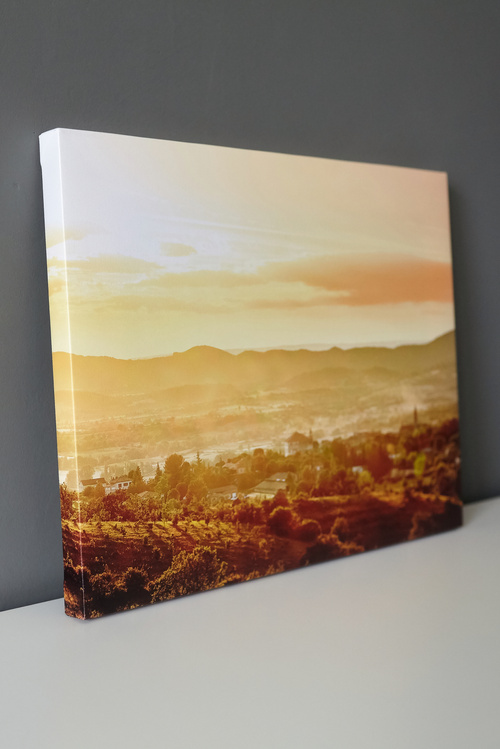 Landscape Canvas Print